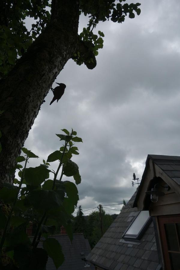 The Roost Appartement Semley Buitenkant foto